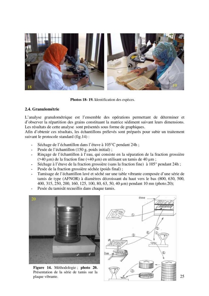 Suivi de la macrofaune benthique des milieux perturbés
