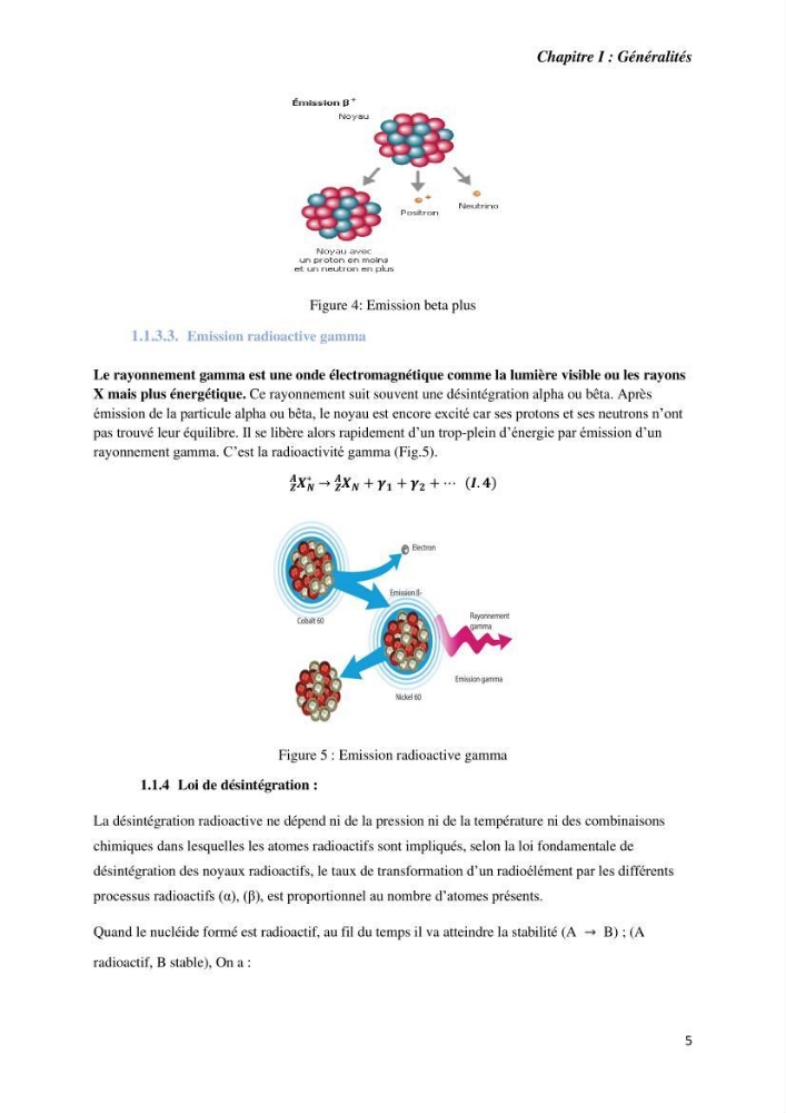 Etude radioécologique du littoral Algérois: cas d\'algues marines