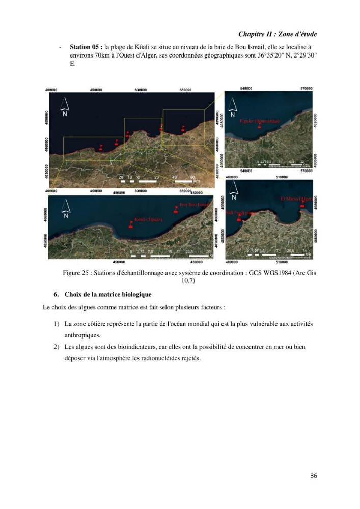 Etude radioécologique du littoral Algérois: cas d\'algues marines