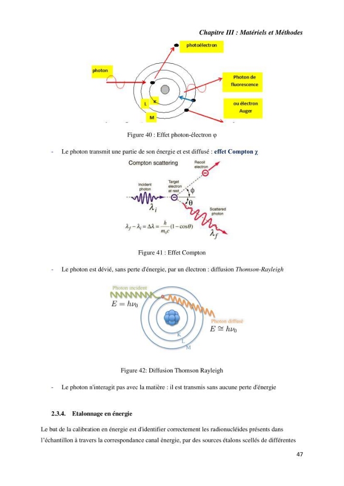 Etude radioécologique du littoral Algérois: cas d\'algues marines