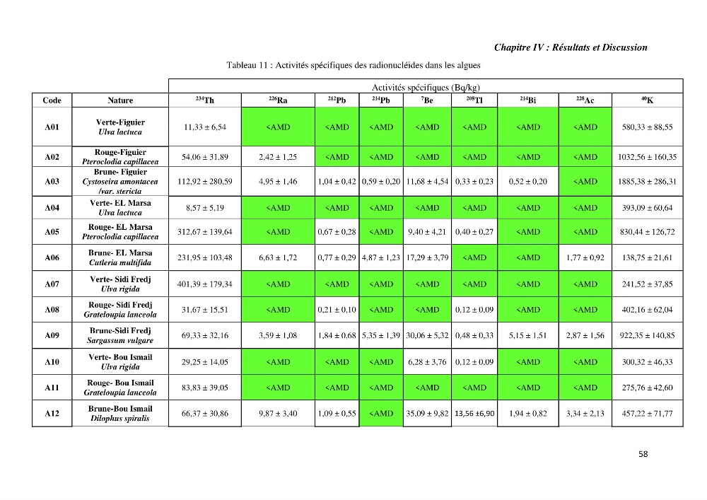 Etude radioécologique du littoral Algérois: cas d\'algues marines