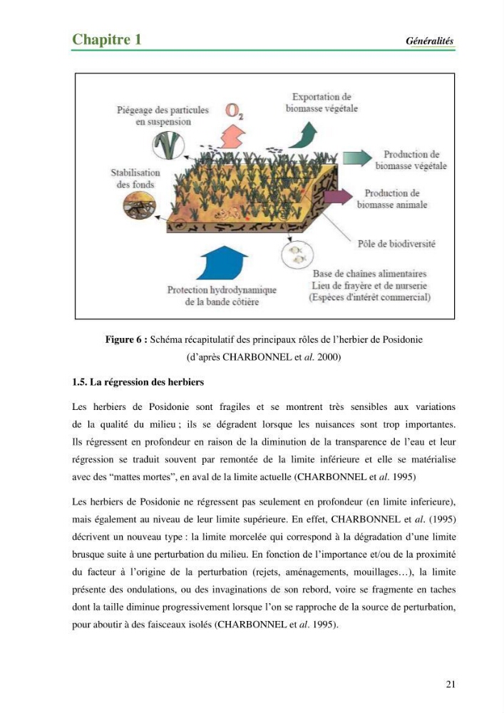 Cartographie de la limite supérieure de l\'herbier à Posidonia oceanica et du Trottoir à Vernets dans la région de Tipaza