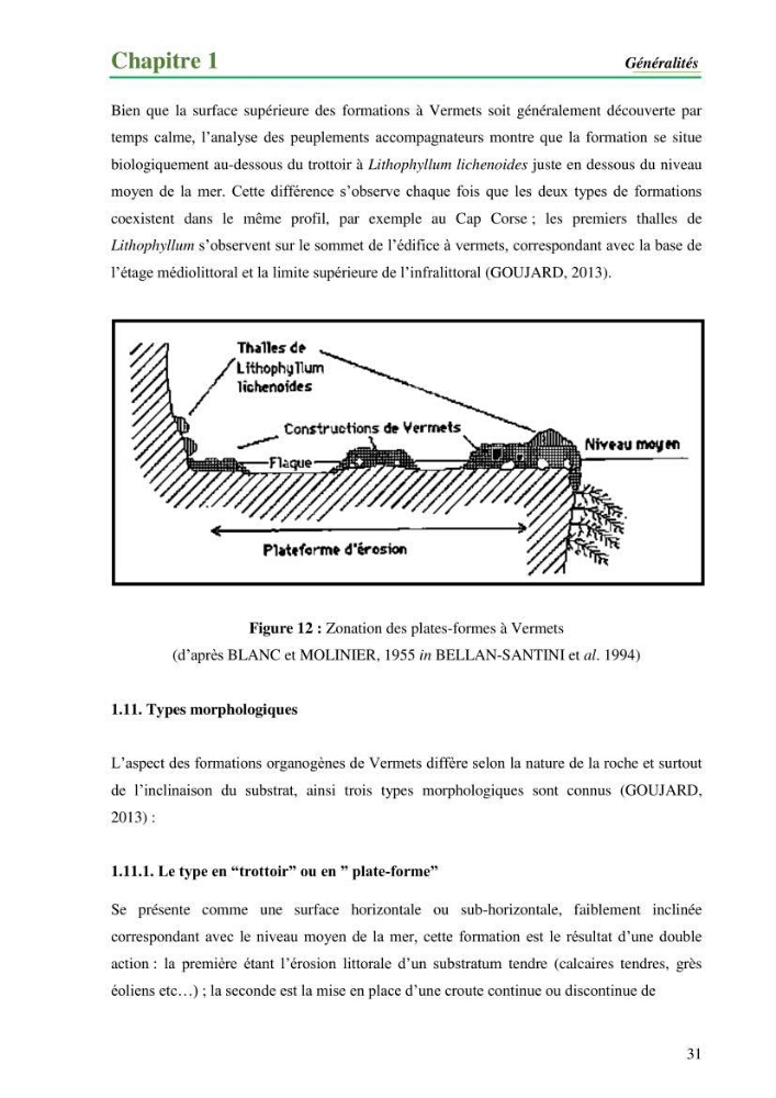 Cartographie de la limite supérieure de l\'herbier à Posidonia oceanica et du Trottoir à Vernets dans la région de Tipaza