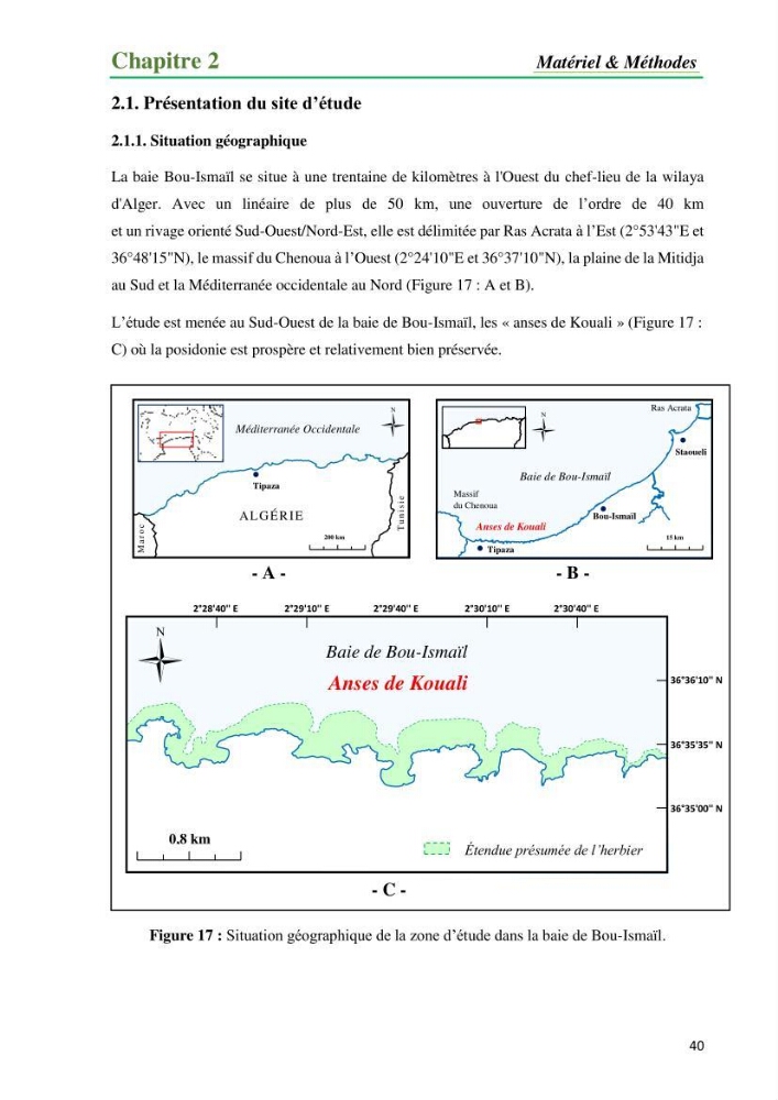 Cartographie de la limite supérieure de l\'herbier à Posidonia oceanica et du Trottoir à Vernets dans la région de Tipaza
