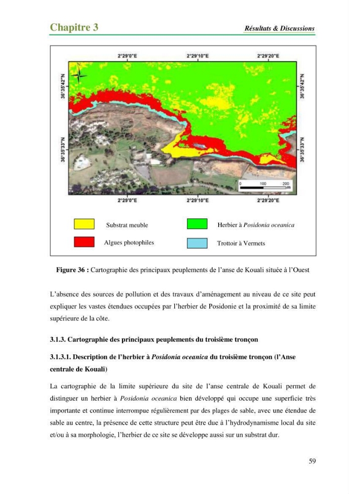 Cartographie de la limite supérieure de l\'herbier à Posidonia oceanica et du Trottoir à Vernets dans la région de Tipaza
