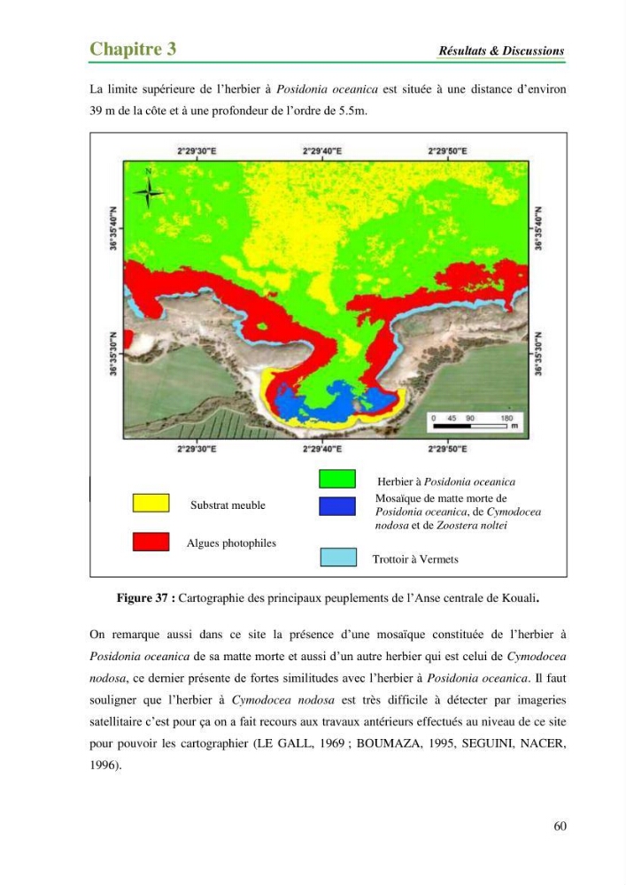 Cartographie de la limite supérieure de l\'herbier à Posidonia oceanica et du Trottoir à Vernets dans la région de Tipaza