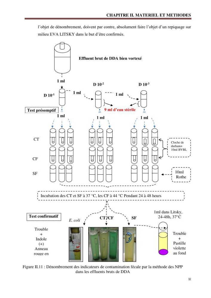 Traitement et valorisation des effluents de l’industrie laitière DANONE par biométhanisation couplée à l’évapo-concentration: