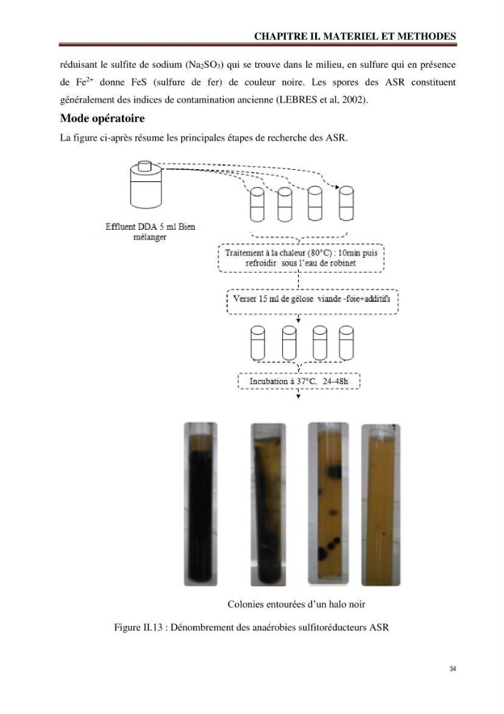 Traitement et valorisation des effluents de l’industrie laitière DANONE par biométhanisation couplée à l’évapo-concentration: