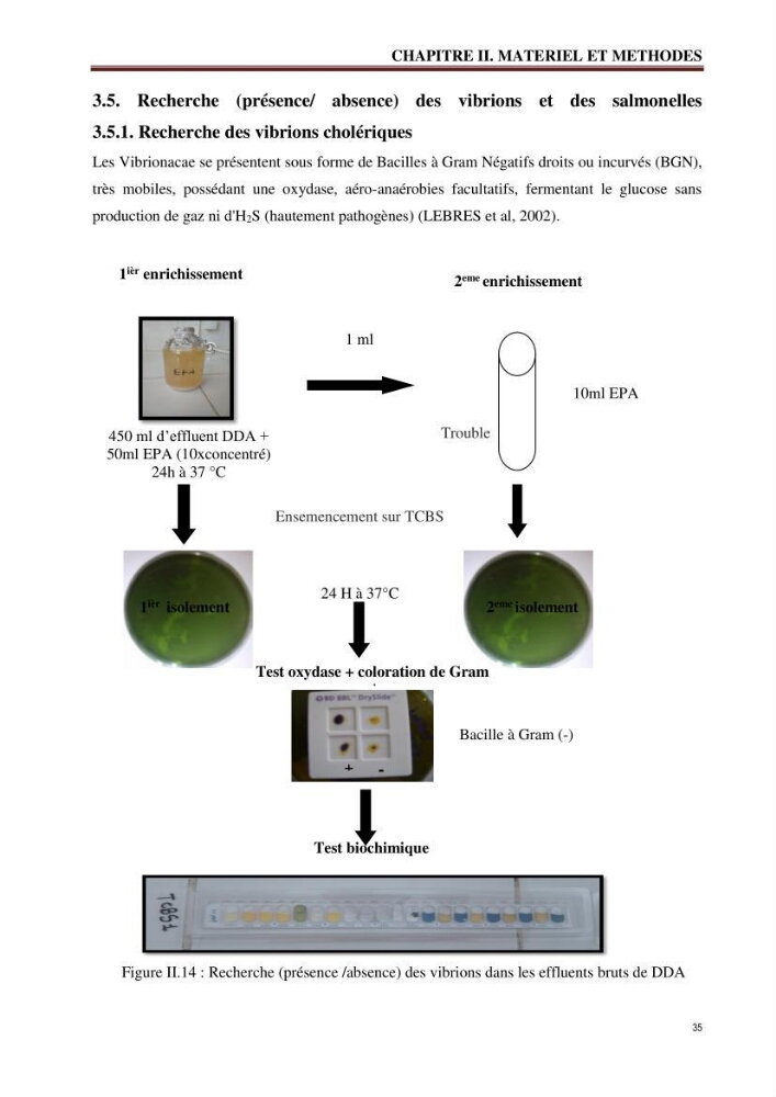 Traitement et valorisation des effluents de l’industrie laitière DANONE par biométhanisation couplée à l’évapo-concentration: