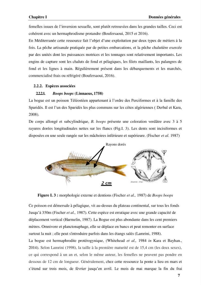 Elaboration d’un outil de simulation pour l’évaluation et de la gestion des pêcheries mixtes multi-flottille: cas de la pêcherie de Pagellus acarne (Risso, 1827) de la région centre algérienne