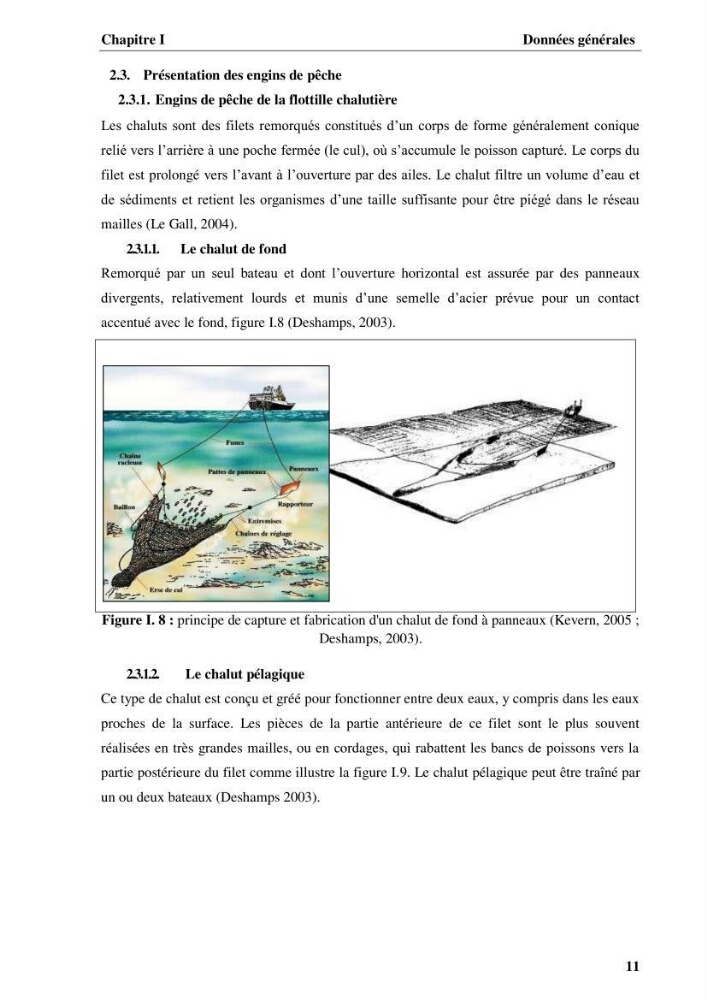 Elaboration d’un outil de simulation pour l’évaluation et de la gestion des pêcheries mixtes multi-flottille: cas de la pêcherie de Pagellus acarne (Risso, 1827) de la région centre algérienne