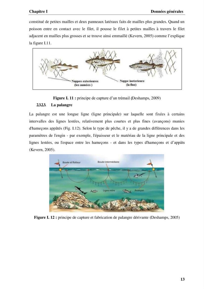 Elaboration d’un outil de simulation pour l’évaluation et de la gestion des pêcheries mixtes multi-flottille: cas de la pêcherie de Pagellus acarne (Risso, 1827) de la région centre algérienne