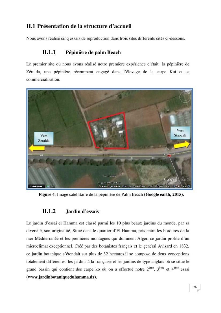 Reproduction artificielle, alevinage et prégrossissement de la carpe Koî ( cyprinus carpio carpio) avec un essai d\'amélioration par l\'utilisation des pigments: