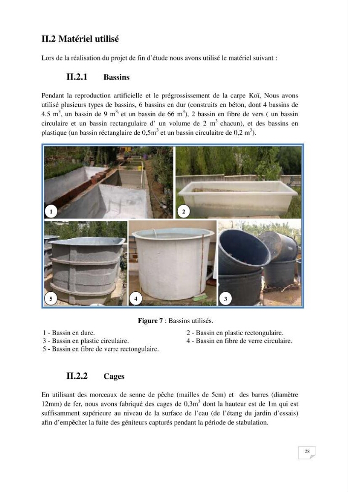 Reproduction artificielle, alevinage et prégrossissement de la carpe Koî ( cyprinus carpio carpio) avec un essai d\'amélioration par l\'utilisation des pigments: