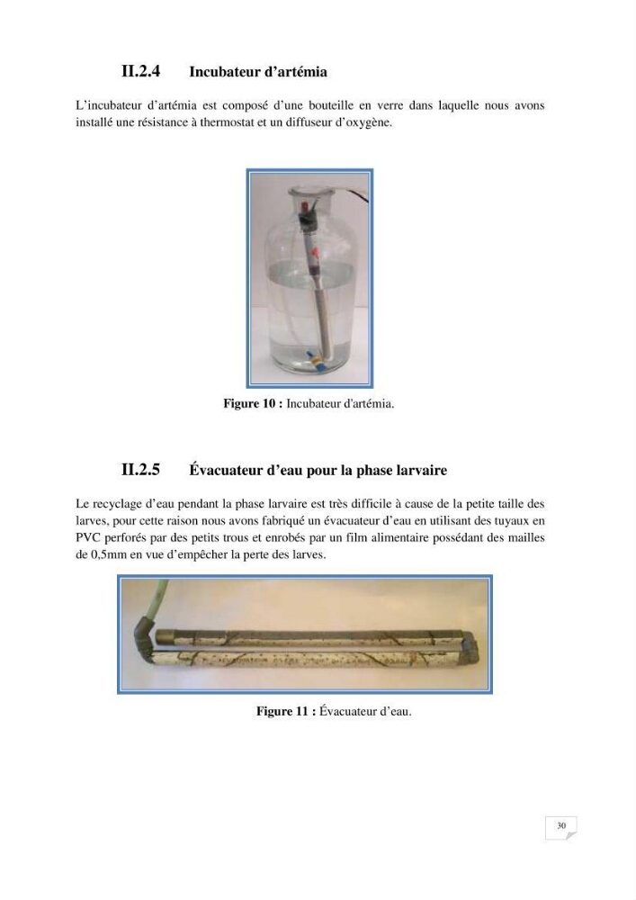 Reproduction artificielle, alevinage et prégrossissement de la carpe Koî ( cyprinus carpio carpio) avec un essai d\'amélioration par l\'utilisation des pigments: