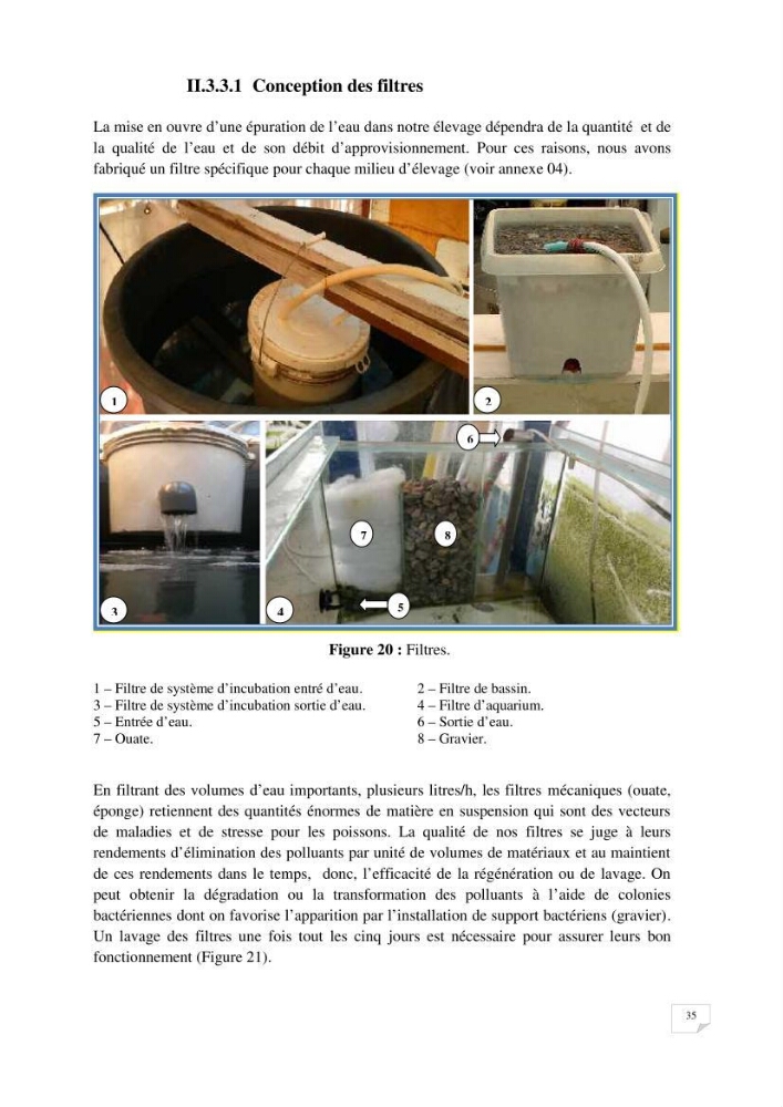 Reproduction artificielle, alevinage et prégrossissement de la carpe Koî ( cyprinus carpio carpio) avec un essai d\'amélioration par l\'utilisation des pigments: