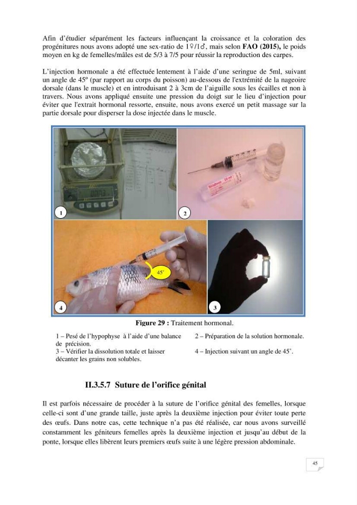 Reproduction artificielle, alevinage et prégrossissement de la carpe Koî ( cyprinus carpio carpio) avec un essai d\'amélioration par l\'utilisation des pigments: