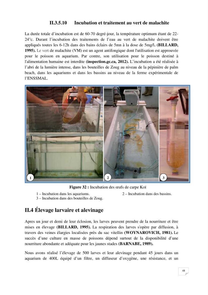 Reproduction artificielle, alevinage et prégrossissement de la carpe Koî ( cyprinus carpio carpio) avec un essai d\'amélioration par l\'utilisation des pigments: