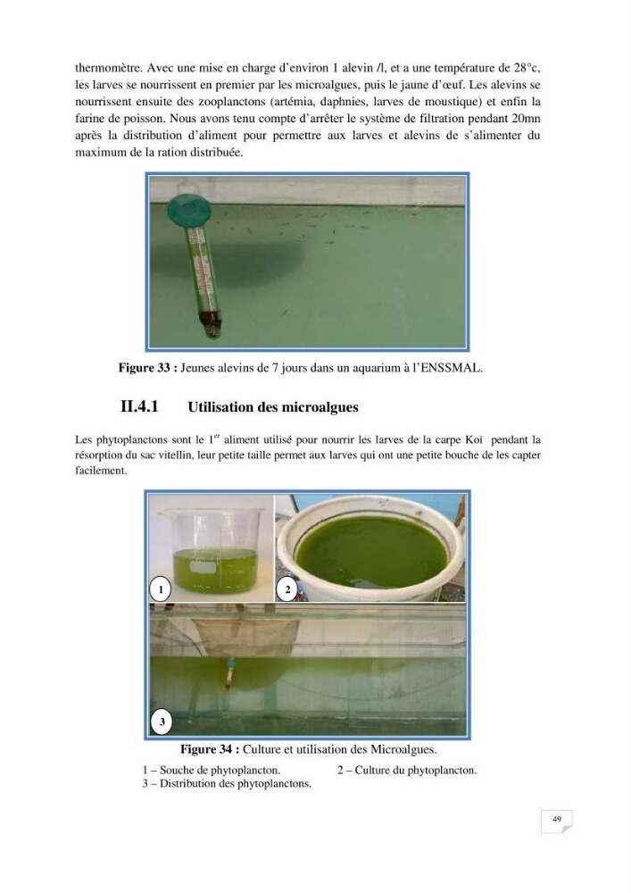 Reproduction artificielle, alevinage et prégrossissement de la carpe Koî ( cyprinus carpio carpio) avec un essai d\'amélioration par l\'utilisation des pigments: