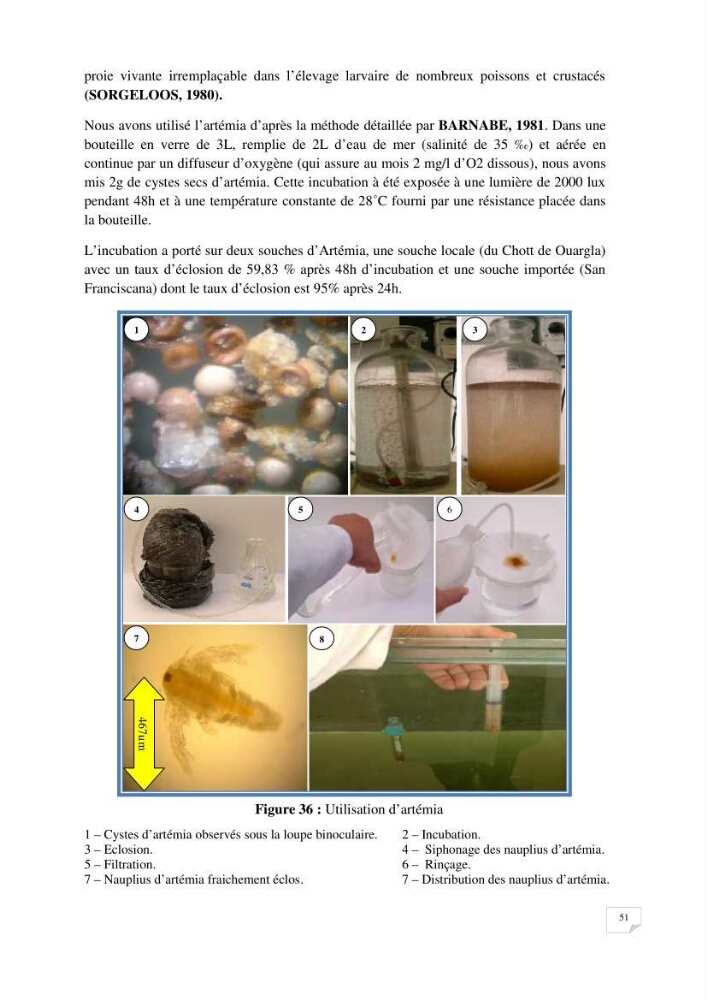 Reproduction artificielle, alevinage et prégrossissement de la carpe Koî ( cyprinus carpio carpio) avec un essai d\'amélioration par l\'utilisation des pigments: