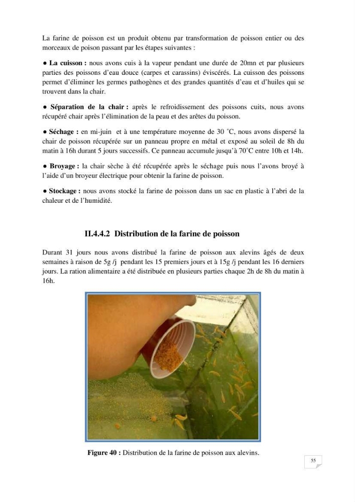 Reproduction artificielle, alevinage et prégrossissement de la carpe Koî ( cyprinus carpio carpio) avec un essai d\'amélioration par l\'utilisation des pigments: