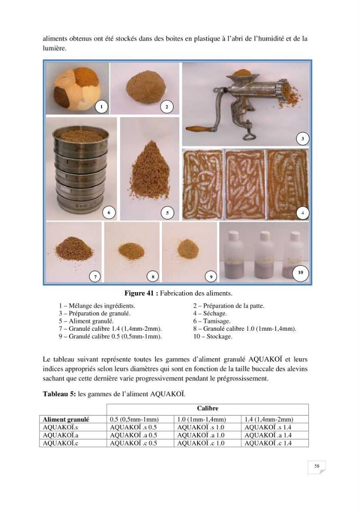 Reproduction artificielle, alevinage et prégrossissement de la carpe Koî ( cyprinus carpio carpio) avec un essai d\'amélioration par l\'utilisation des pigments: