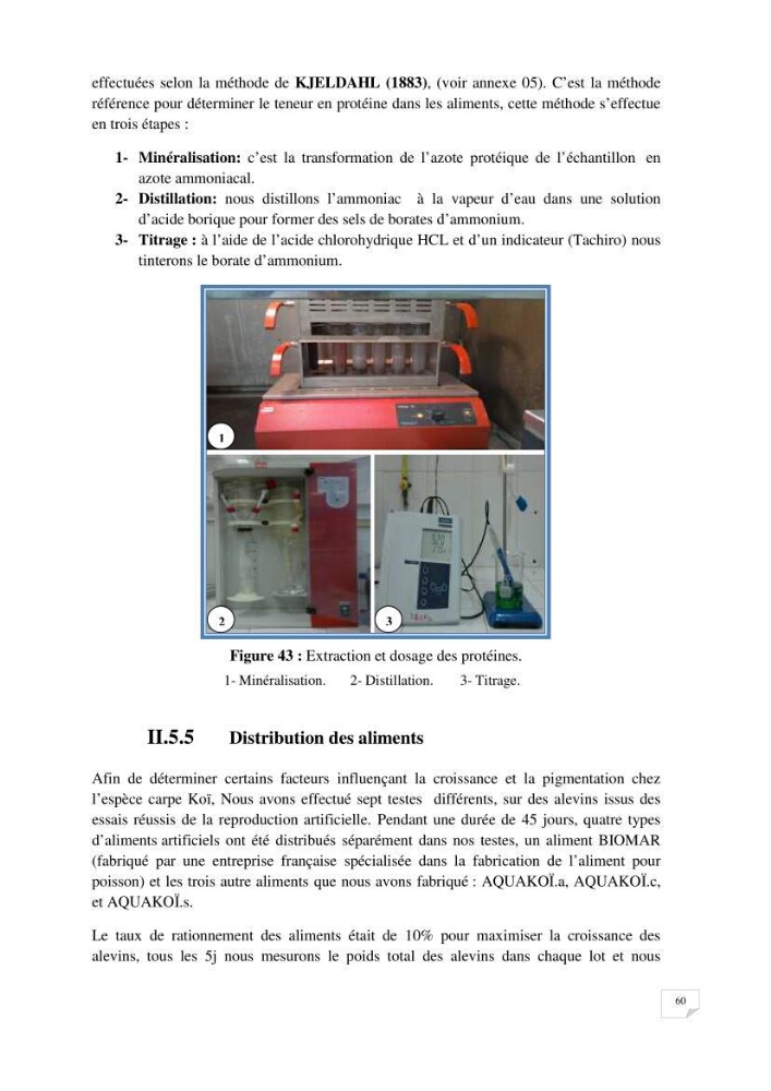 Reproduction artificielle, alevinage et prégrossissement de la carpe Koî ( cyprinus carpio carpio) avec un essai d\'amélioration par l\'utilisation des pigments: