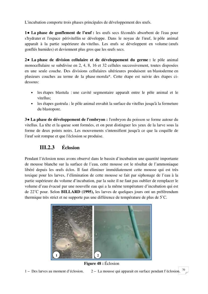 Reproduction artificielle, alevinage et prégrossissement de la carpe Koî ( cyprinus carpio carpio) avec un essai d\'amélioration par l\'utilisation des pigments: