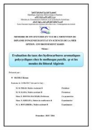 Etude prospective de la pollution marine de la baie d'Alger: