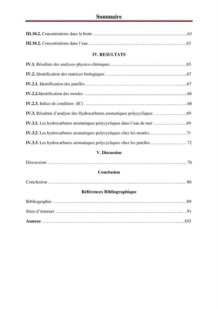 Etude prospective de la pollution marine de la baie d\'Alger: