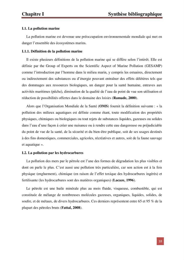 Etude prospective de la pollution marine de la baie d\'Alger: