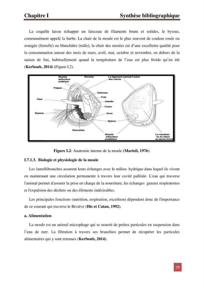 Etude prospective de la pollution marine de la baie d\'Alger: