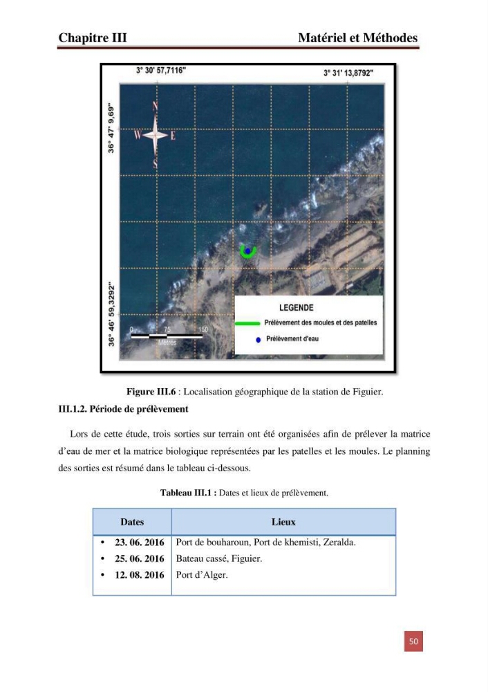 Etude prospective de la pollution marine de la baie d\'Alger: