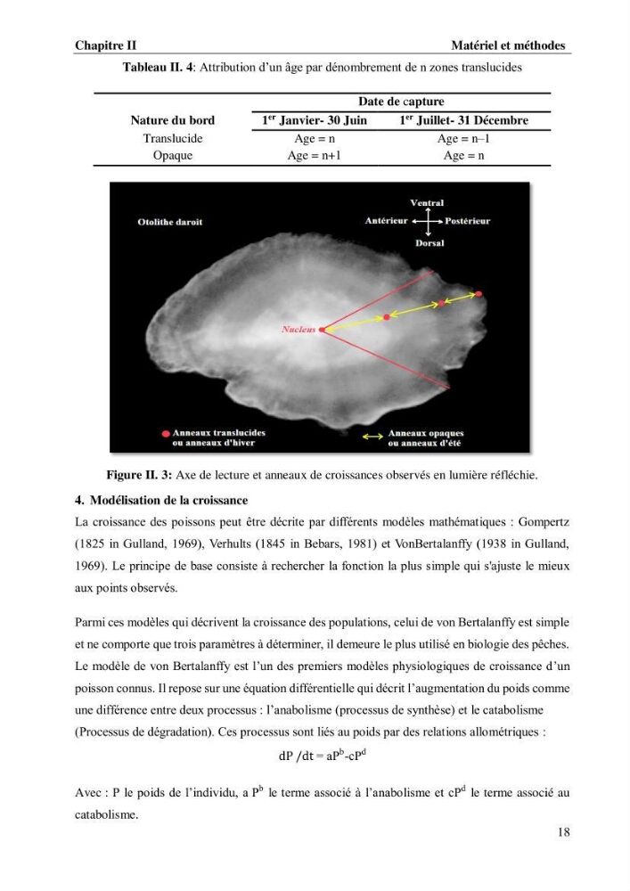 Estimation de la fécondité, de l’âge et modélisation de la croissance des espèces du genre Spicara (Sparidae) de la région centre algérienne.: