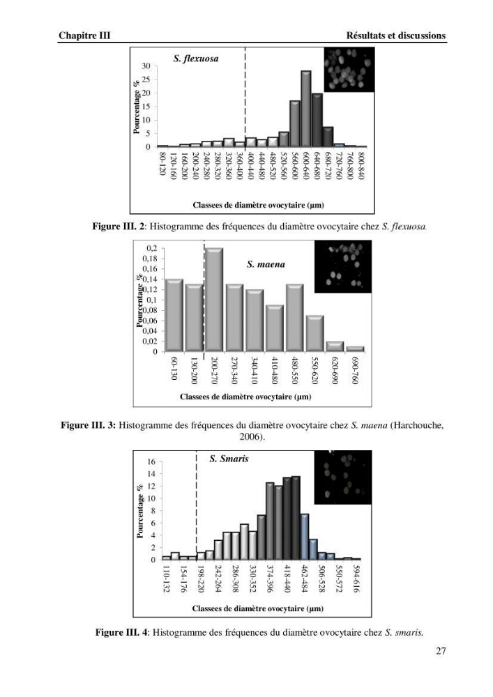 Estimation de la fécondité, de l’âge et modélisation de la croissance des espèces du genre Spicara (Sparidae) de la région centre algérienne.: